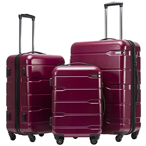 Coolife Luggage Expandable 3 Piece Sets PC ABS Spinner Suitcase 20 inch 24 inch 28 inch (Radiant Pink new)