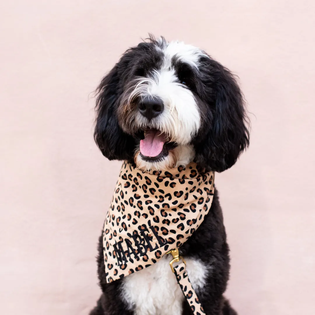 Party Animal Dog Bandana