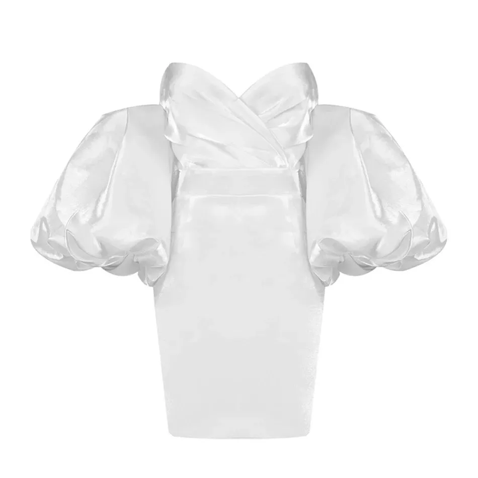 Trendy Puff Sleeves Mini Dress
