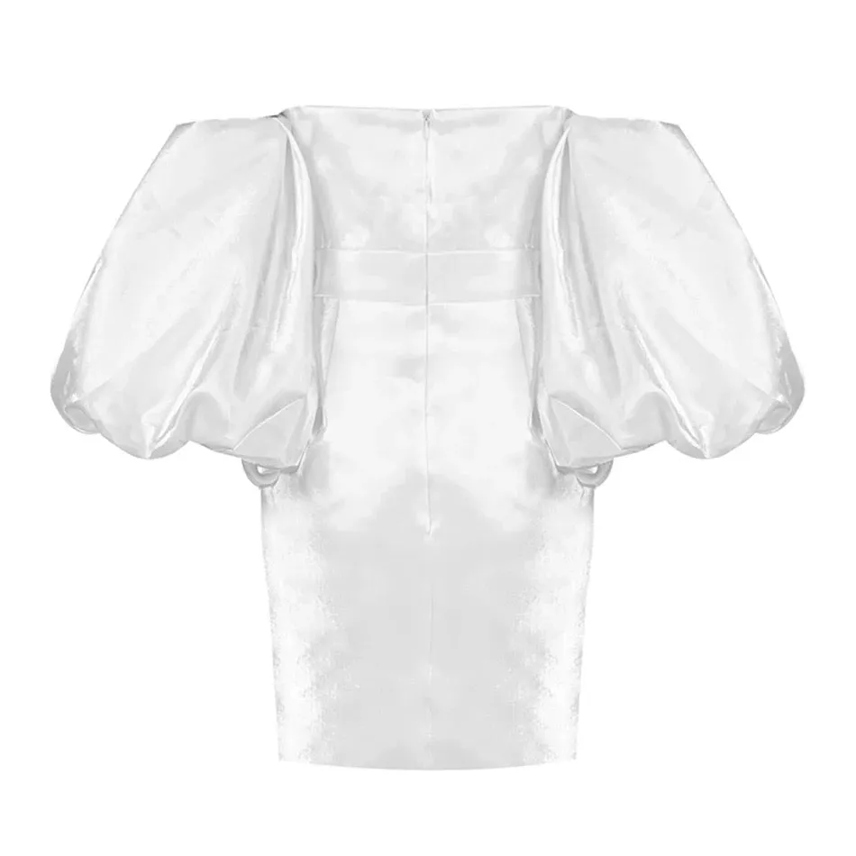 Trendy Puff Sleeves Mini Dress